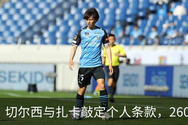 切尔西与扎卡敲定个人条款，2600万镑报价等待桑德兰放行